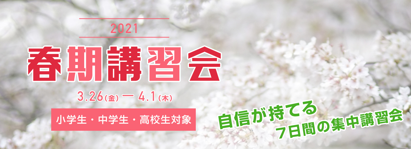 春期講習